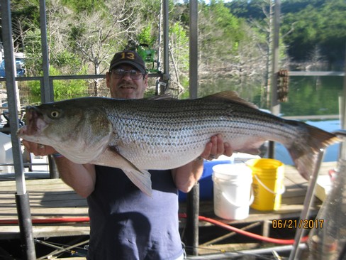 Nice Striped Bass